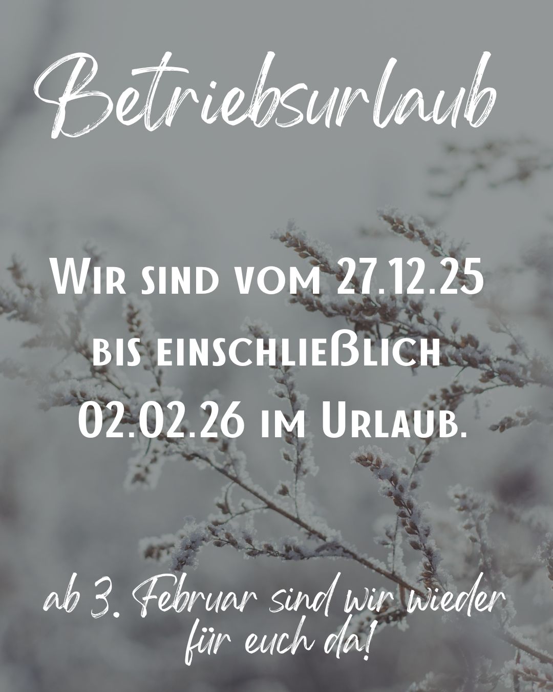Weiß Einfach Winter Desktop Hintergrundbild Instagram Post 45